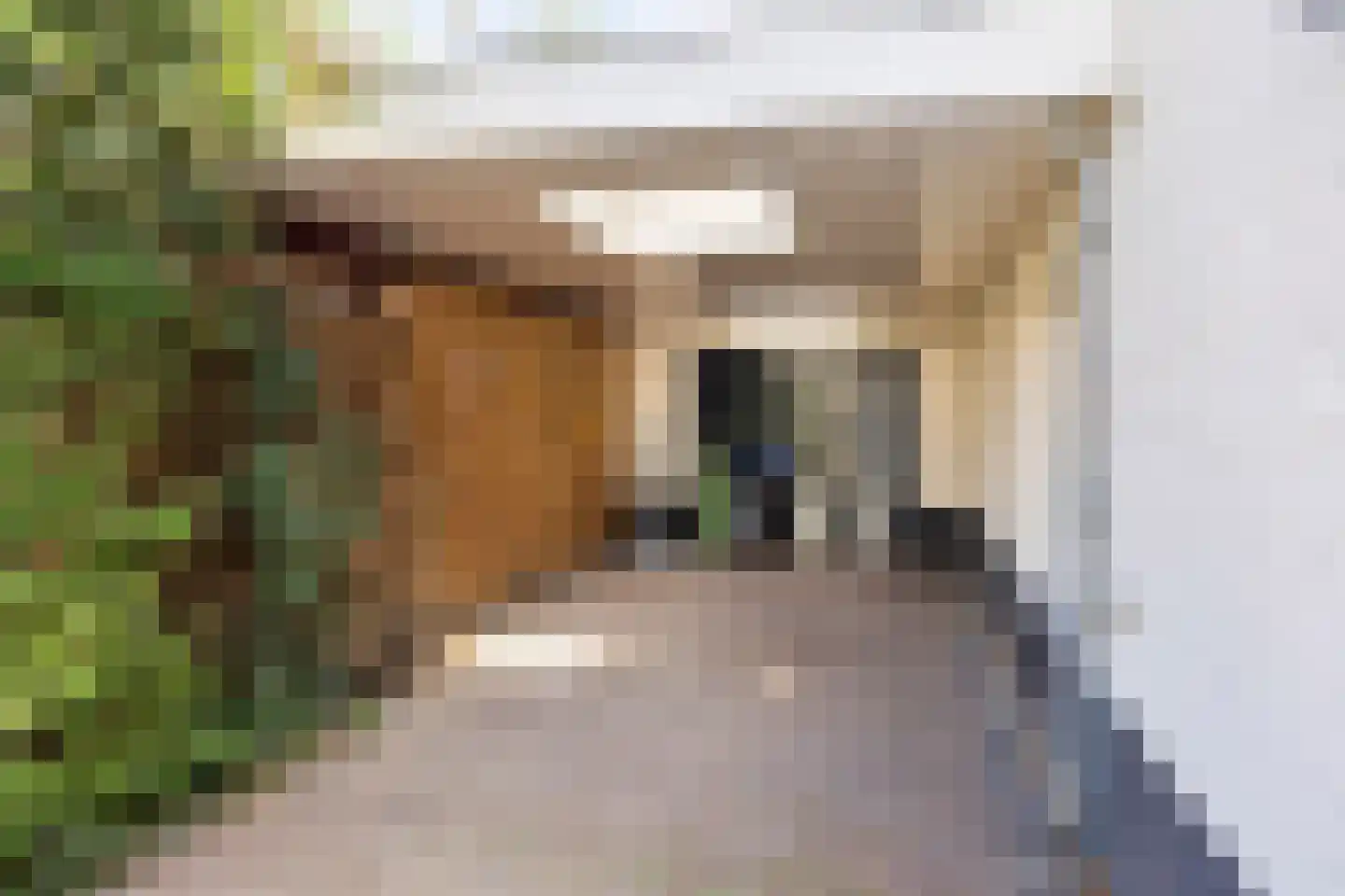 Irenestraat 13 Boekel thumbnail 12