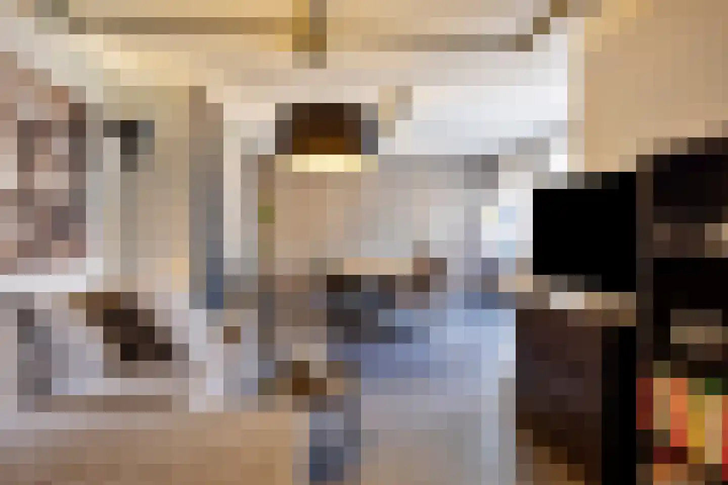 Irenestraat 13 Boekel thumbnail 37