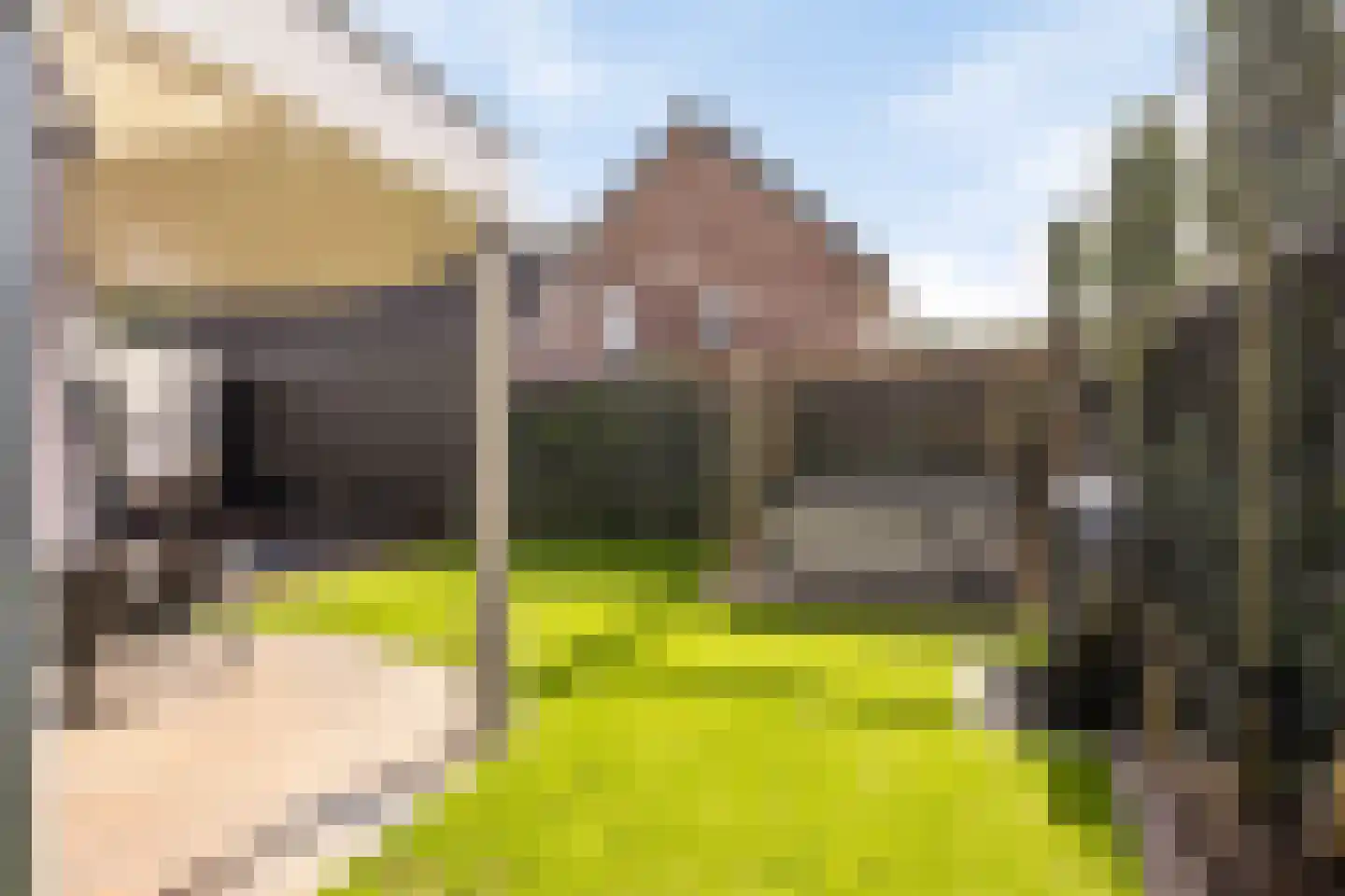 Irenestraat 13 Boekel thumbnail 56