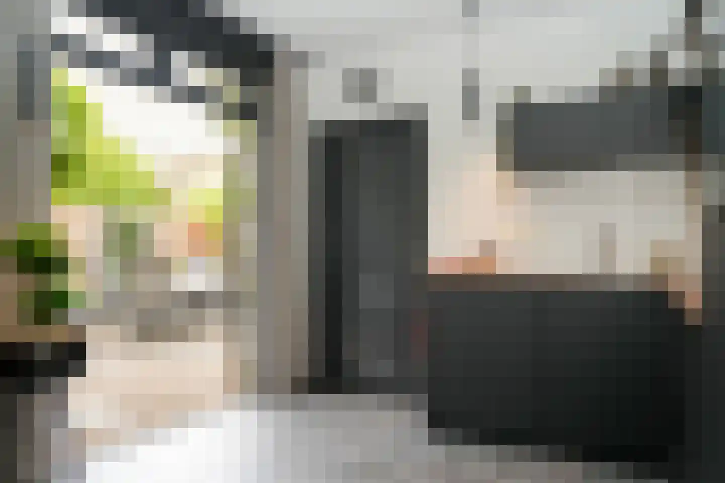 Irenestraat 13 Druten thumbnail 11