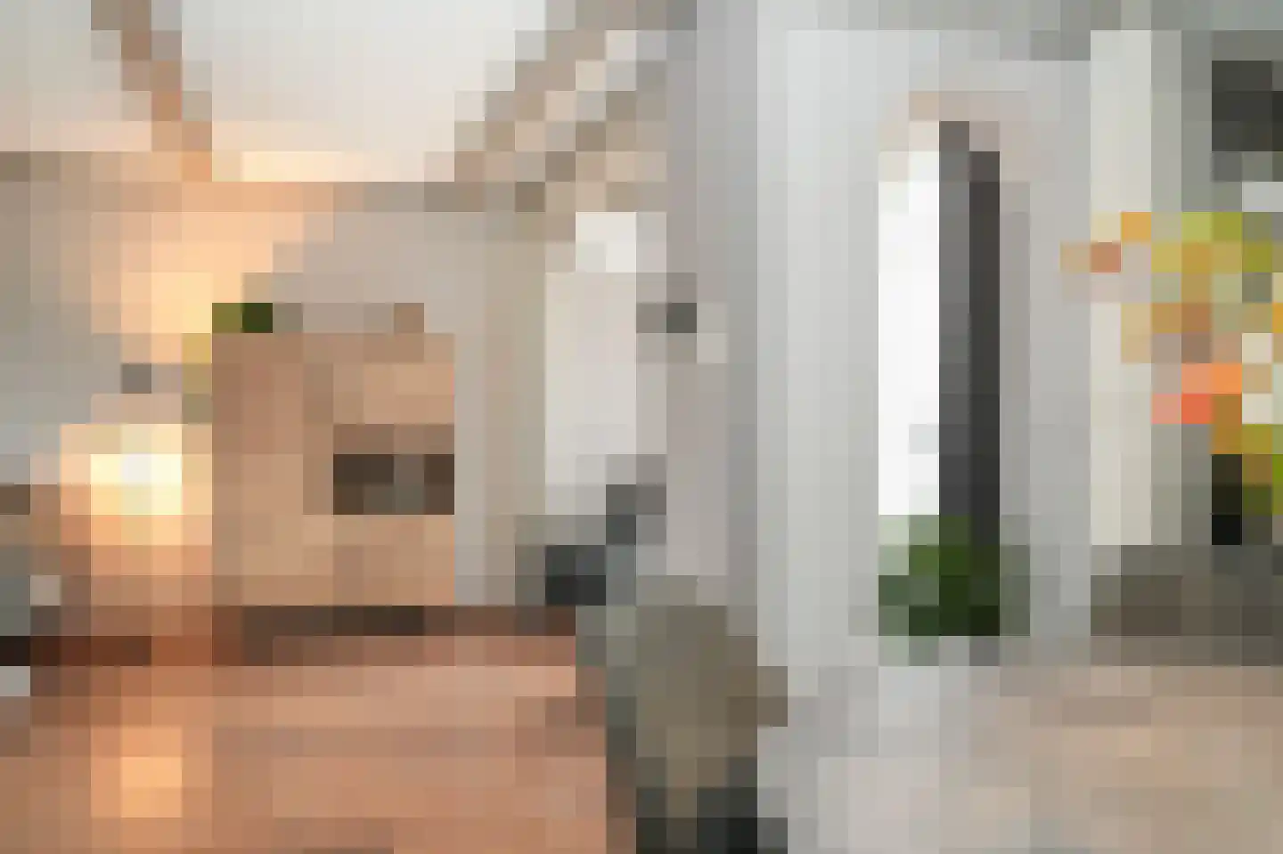 Irenestraat 13 Druten thumbnail 15