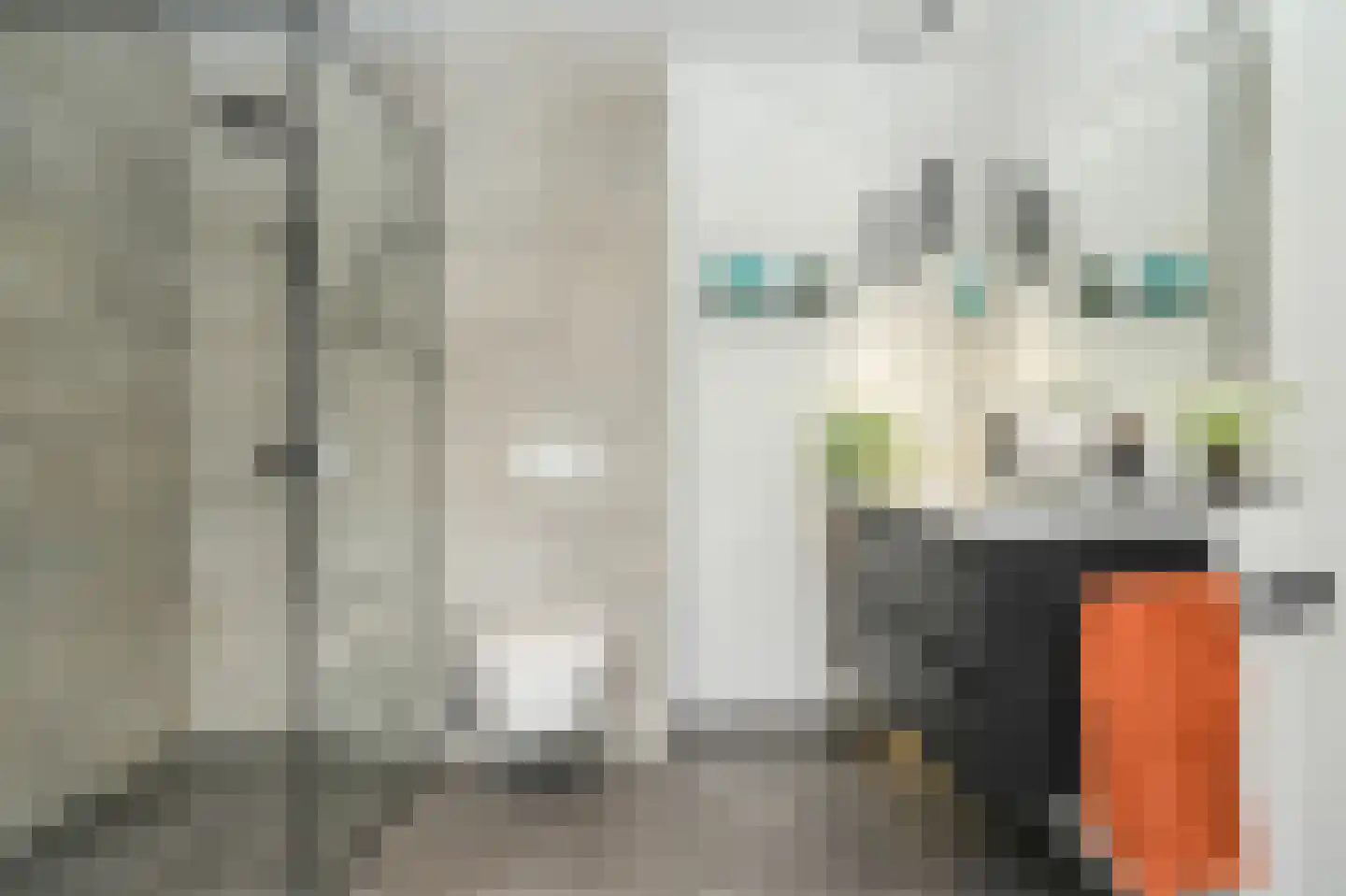 Irenestraat 13 Druten thumbnail 19