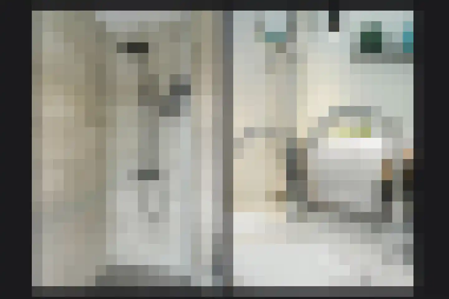 Irenestraat 13 Druten thumbnail 20