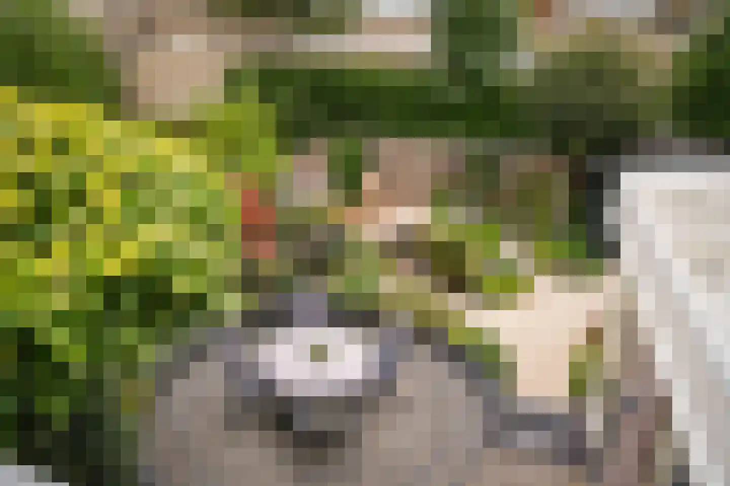 Irenestraat 13 Druten thumbnail 26