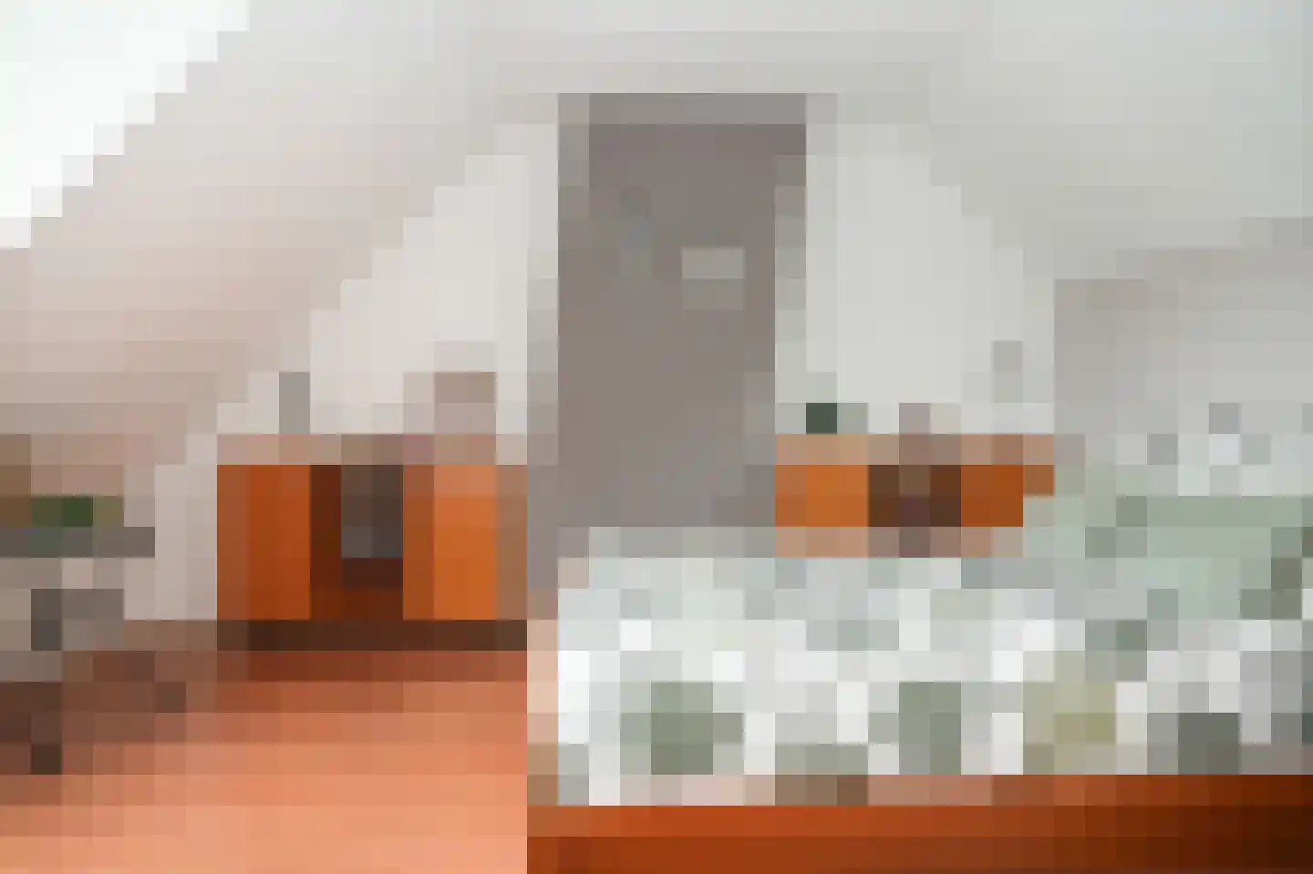 Irenestraat 13 Druten thumbnail 35