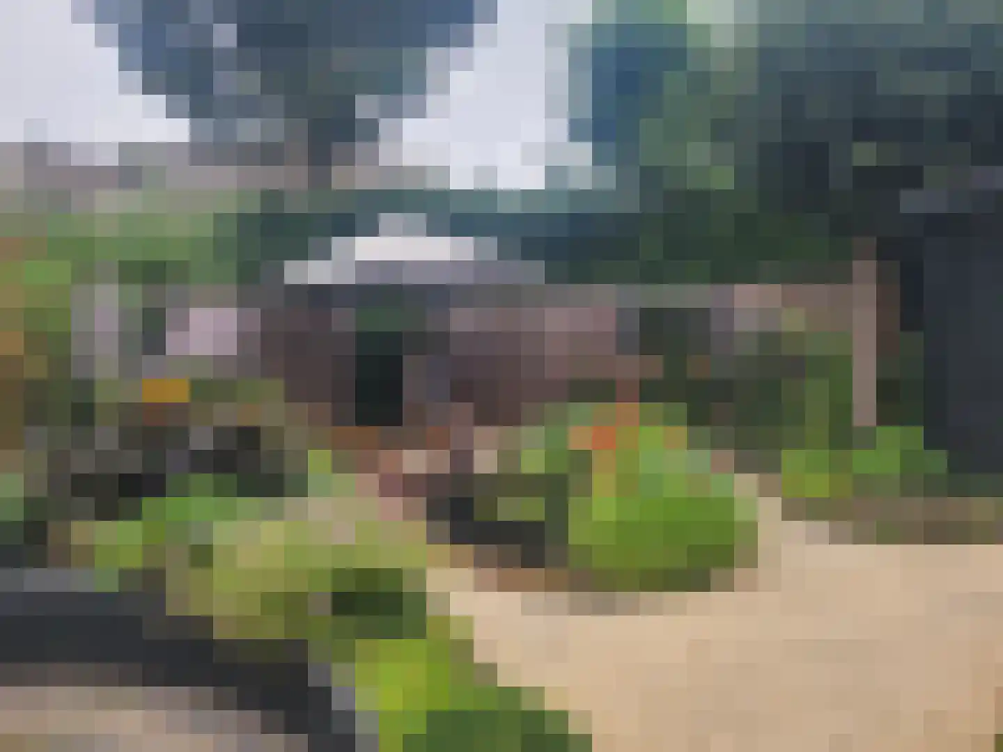 Irenestraat 13 Druten thumbnail 42