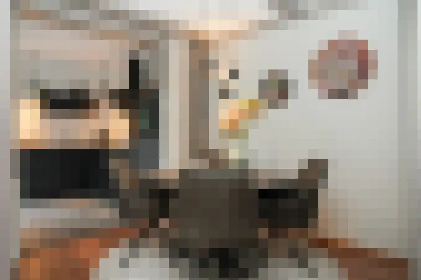 Irenestraat 13 Druten thumbnail 5