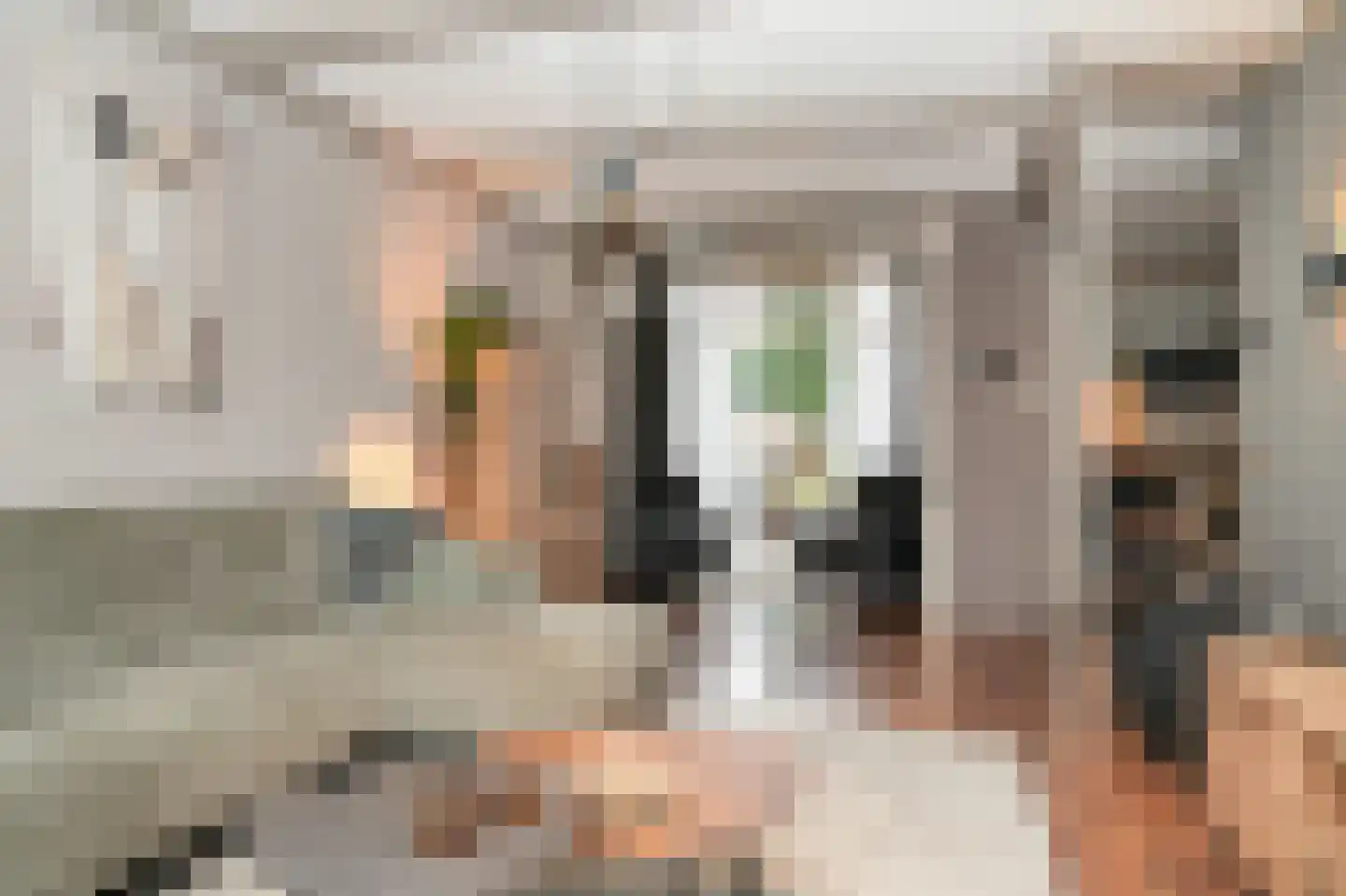 Irenestraat 13 Druten thumbnail 7