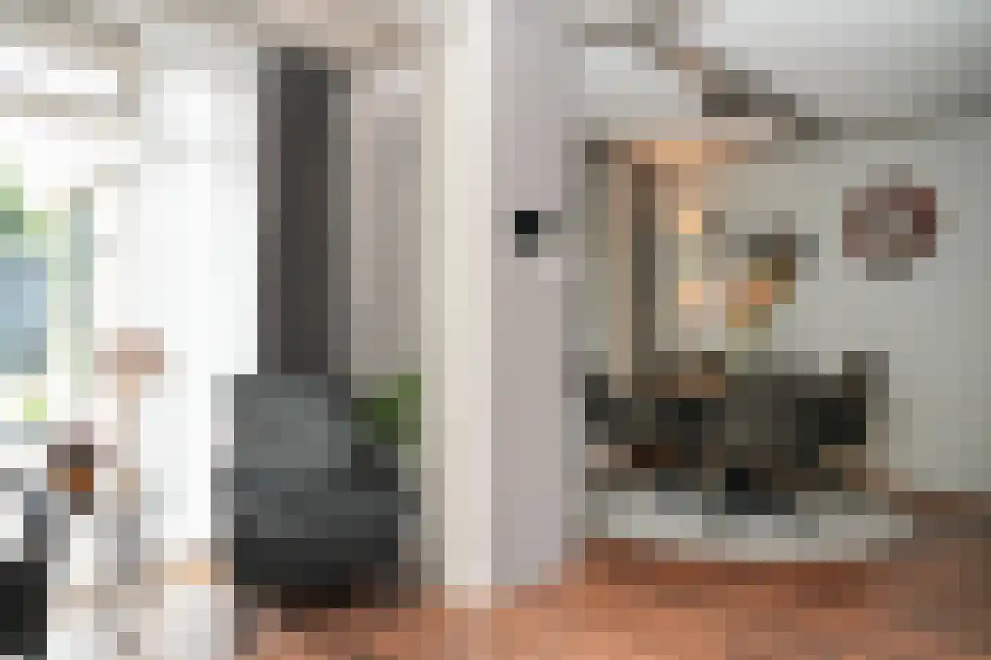 Irenestraat 13 Druten thumbnail 8