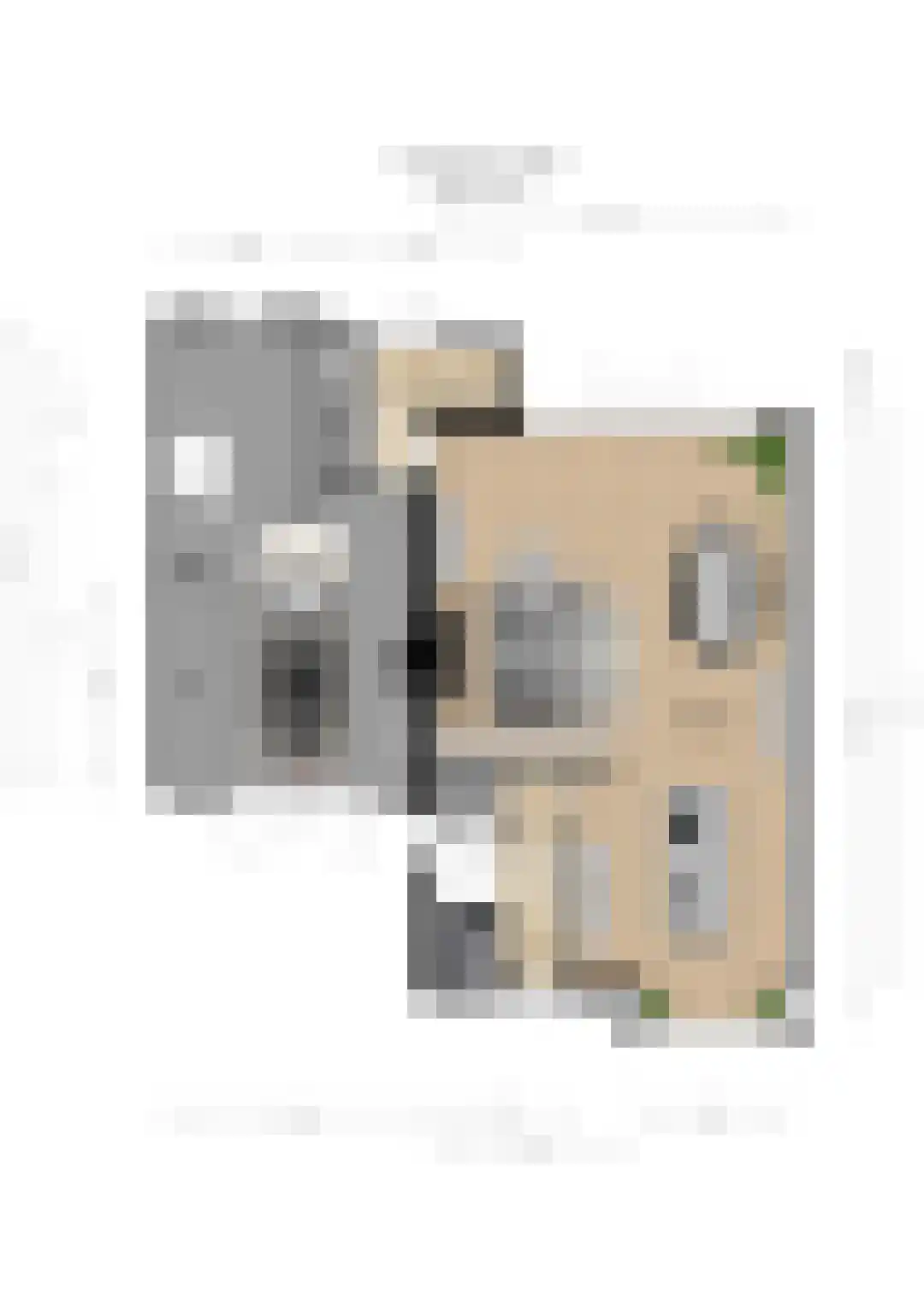 Irenestraat 13 Huissen thumbnail 31