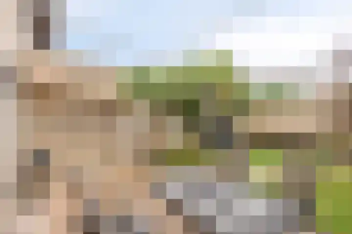 Irenestraat 14 Veldhoven thumbnail 20