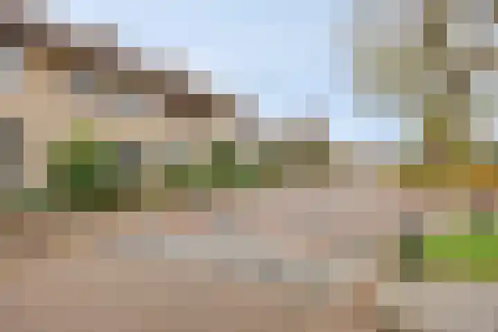 Irenestraat 14 Veldhoven thumbnail 23