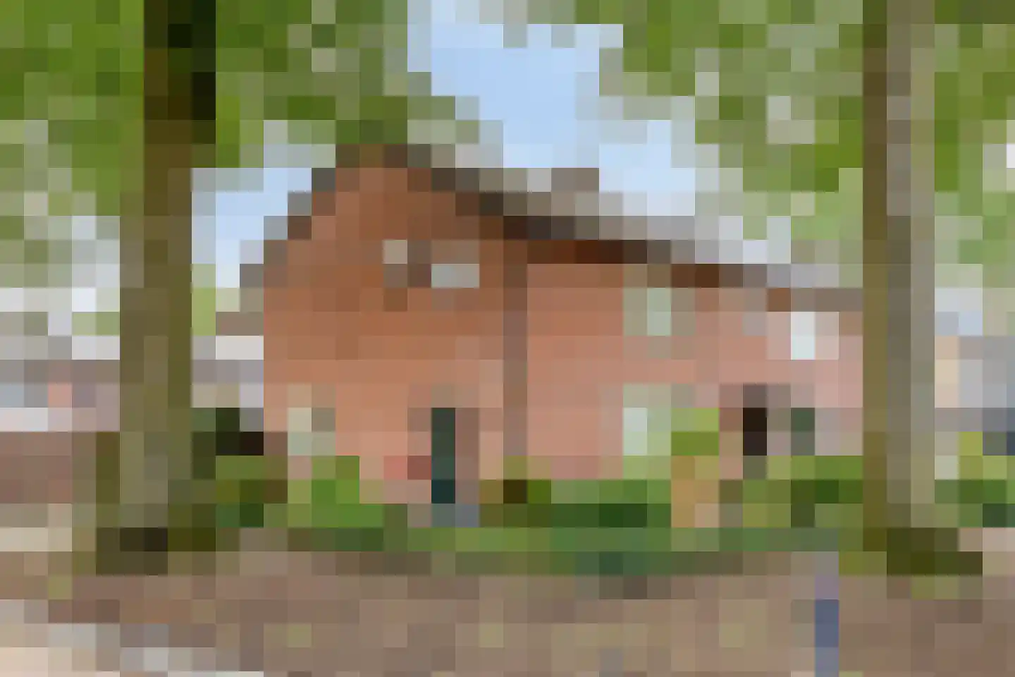 Irenestraat 15 in Bakel