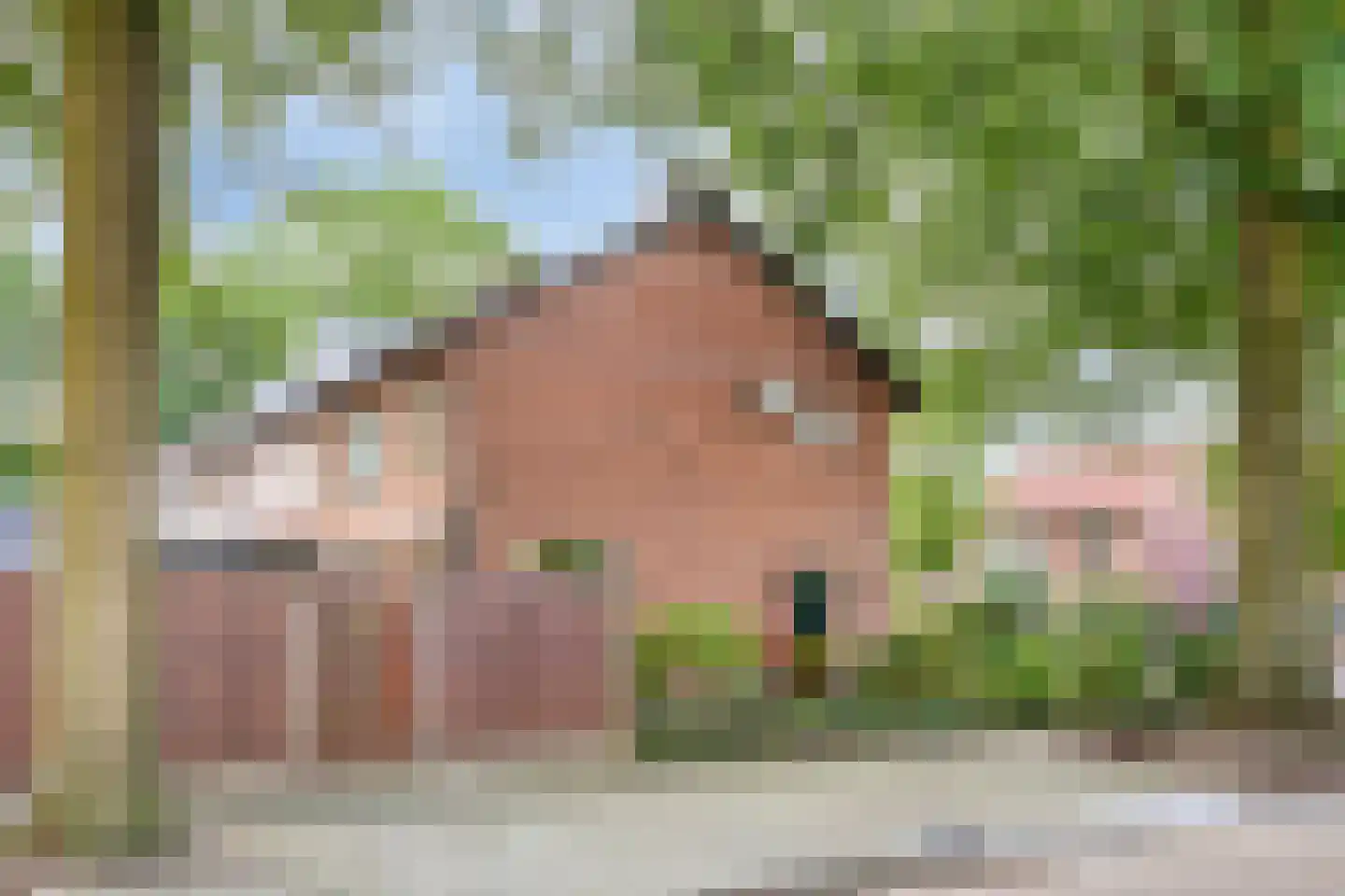 Irenestraat 15 Bakel thumbnail 38