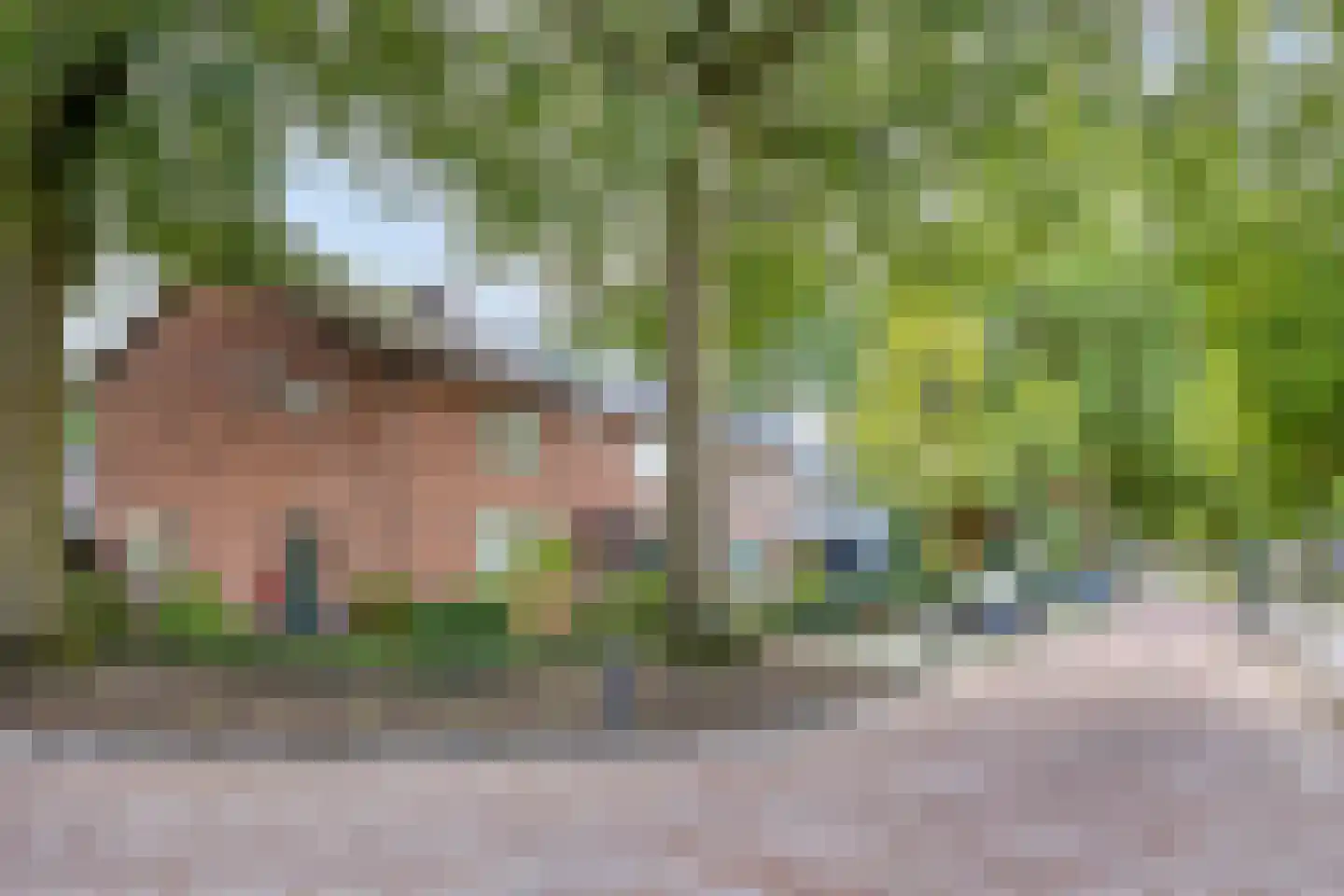 Irenestraat 15 Bakel thumbnail 39