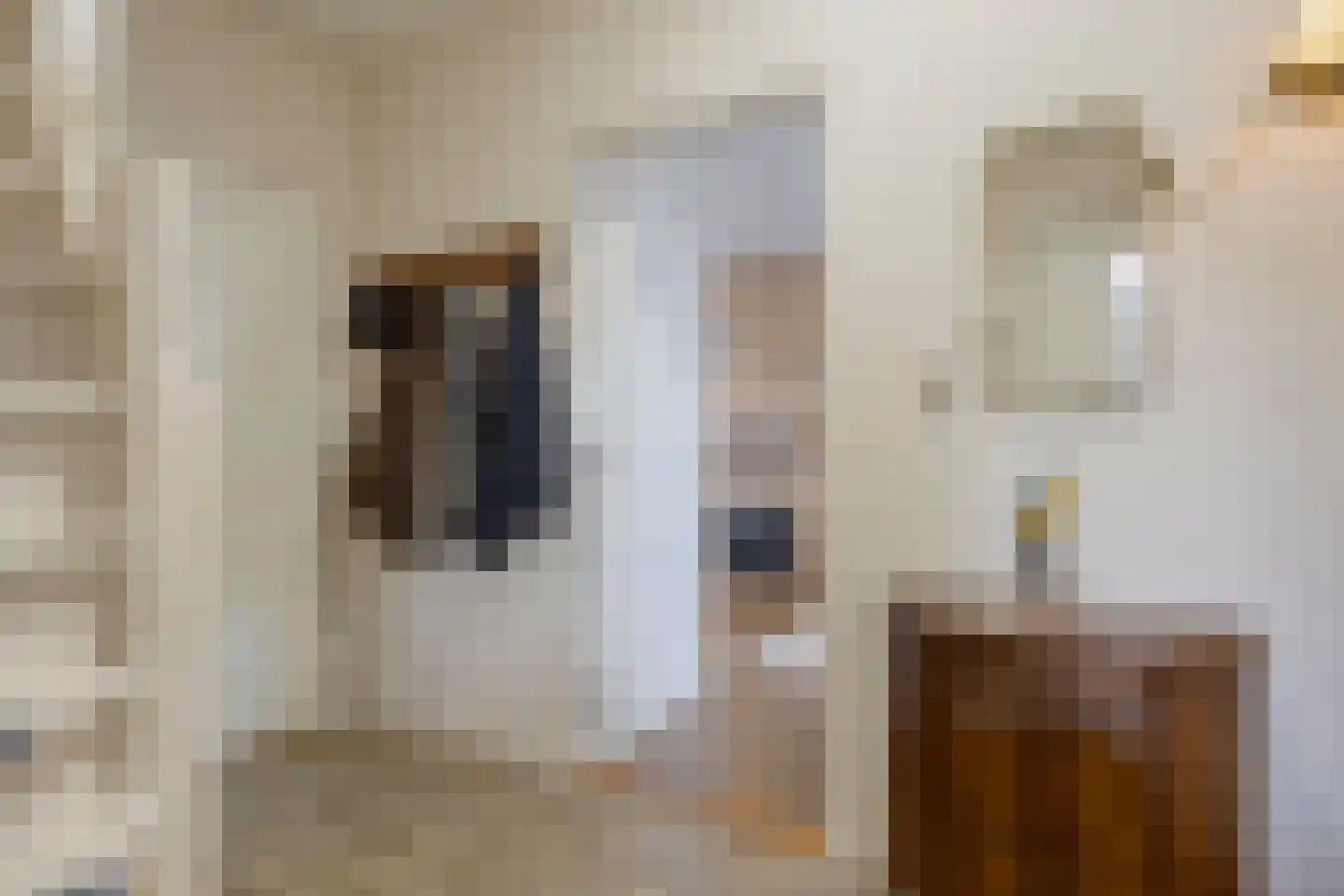 Irenestraat 15 Bakel thumbnail 8