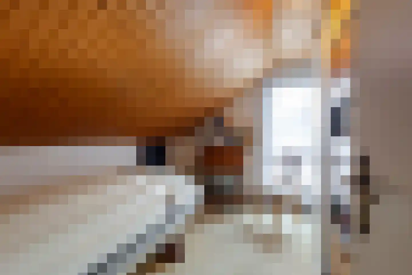 Irenestraat 154 Groot-Ammers thumbnail 30
