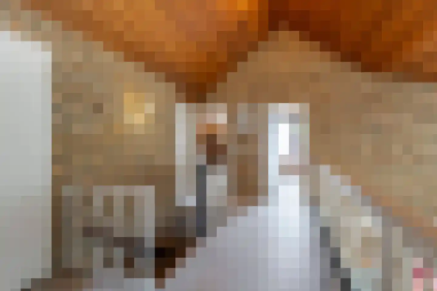 Irenestraat 154 Groot-Ammers thumbnail 33
