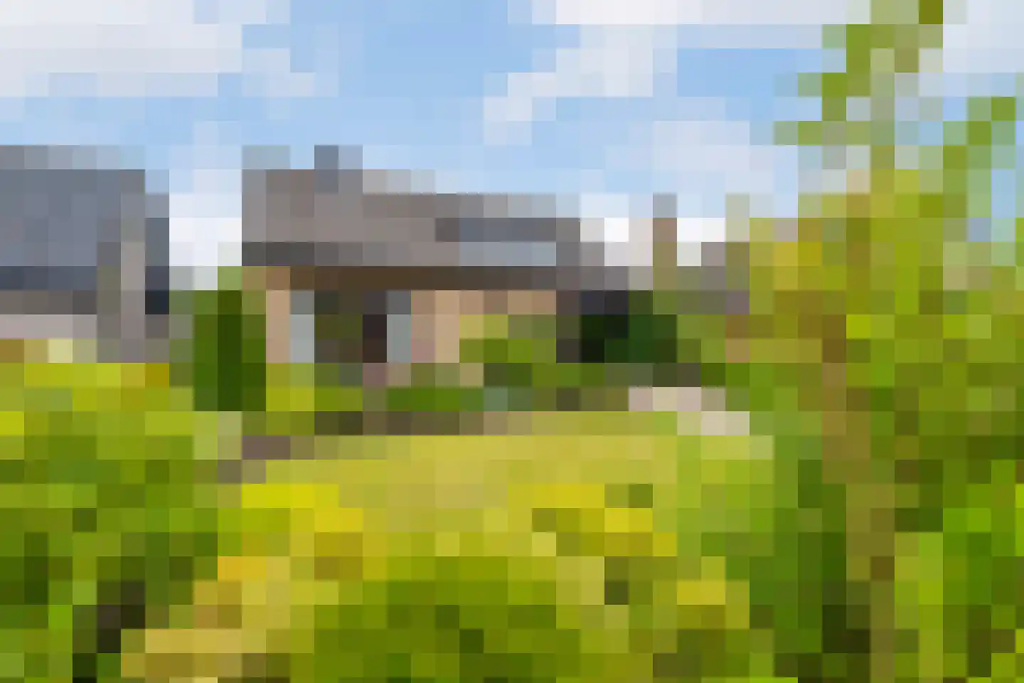 Irenestraat 154 Groot-Ammers thumbnail 38
