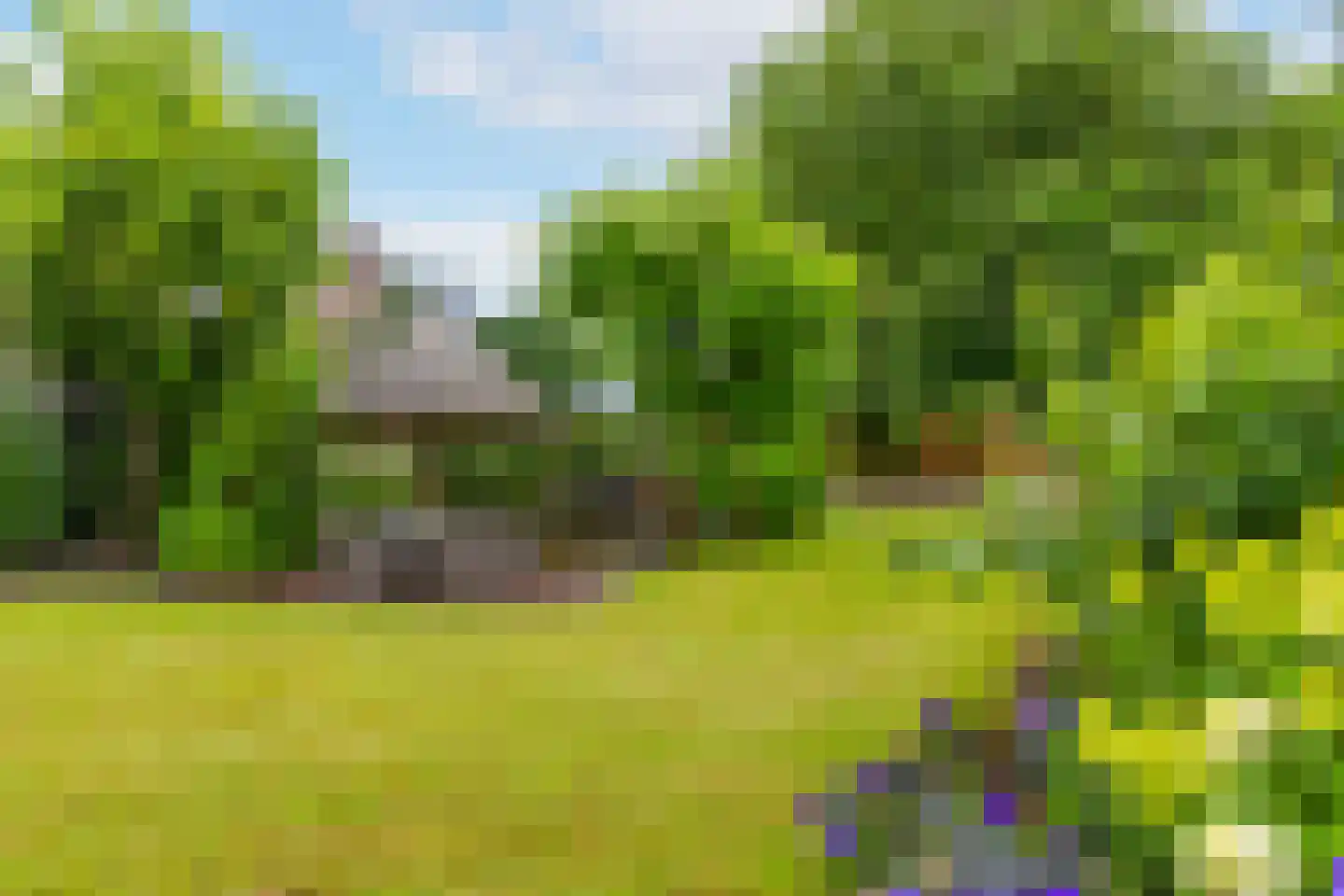 Irenestraat 154 Groot-Ammers thumbnail 5