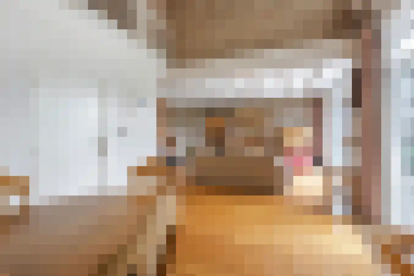 Irenestraat 154 Groot-Ammers thumbnail 7