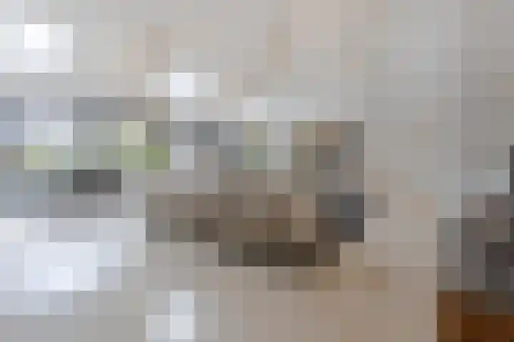 Irenestraat 156 Groot-Ammers thumbnail 11