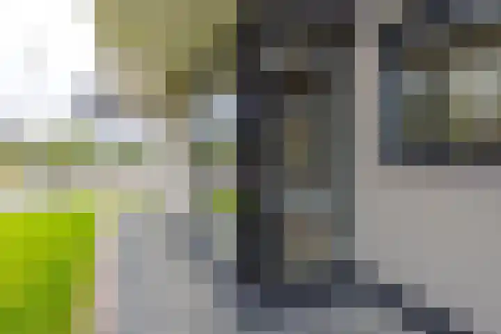 Irenestraat 156 Groot-Ammers thumbnail 47