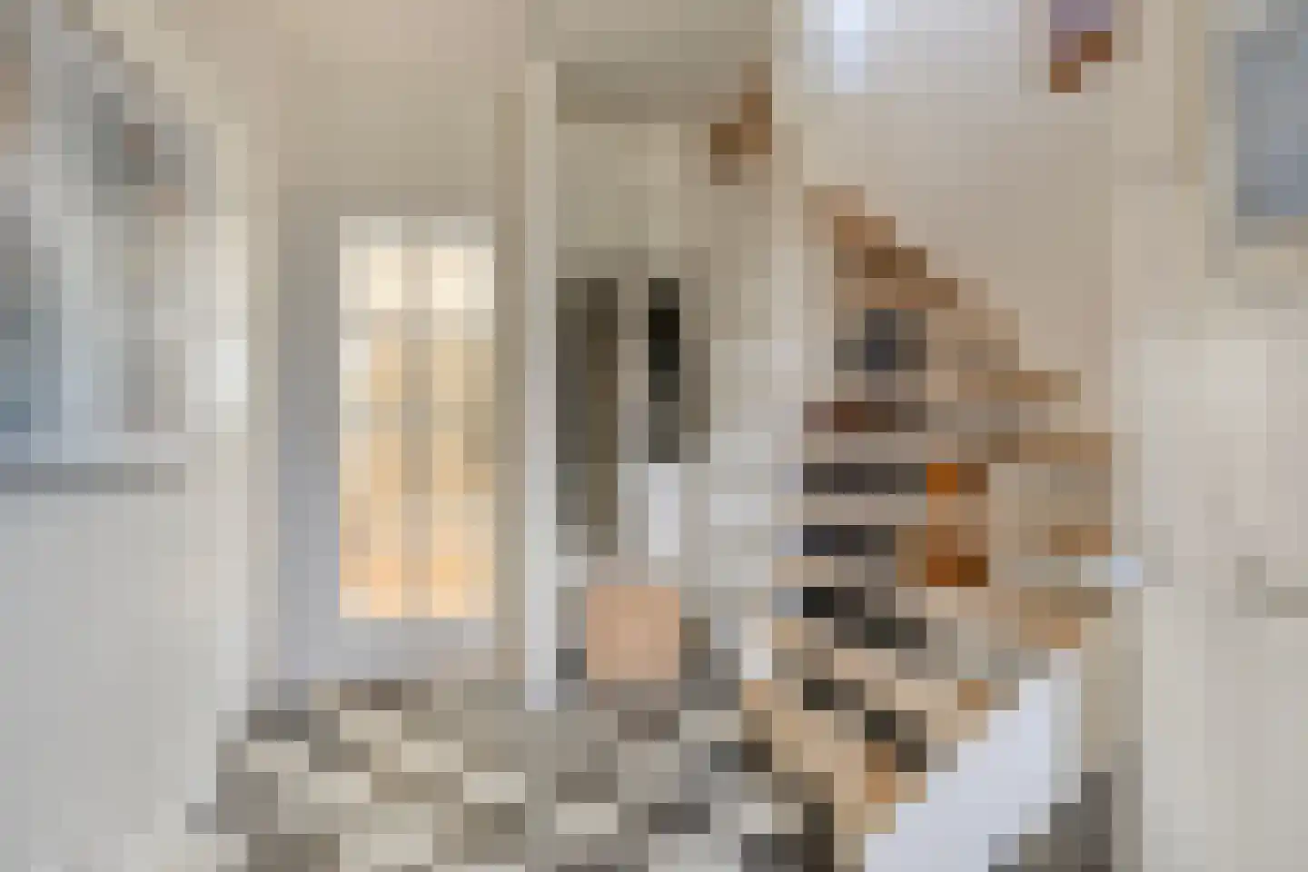 Irenestraat 16 Duiven thumbnail 25