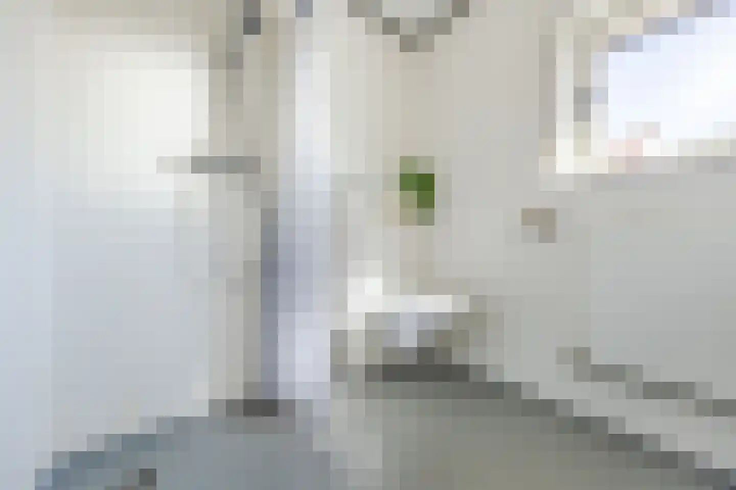 Irenestraat 17 Terneuzen thumbnail 23