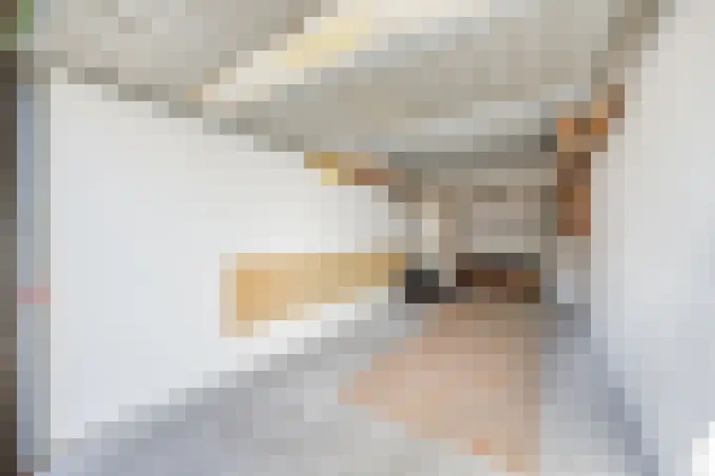 Irenestraat 17 Terneuzen thumbnail 32
