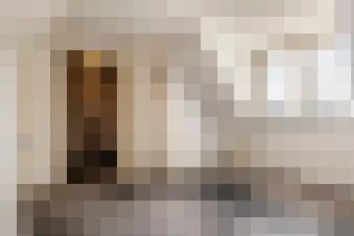 Irenestraat 18 Druten thumbnail 21