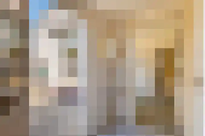 Irenestraat 18 Druten thumbnail 24