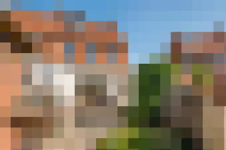 Irenestraat 18 Druten thumbnail 25