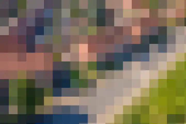 Irenestraat 18 Druten thumbnail 31