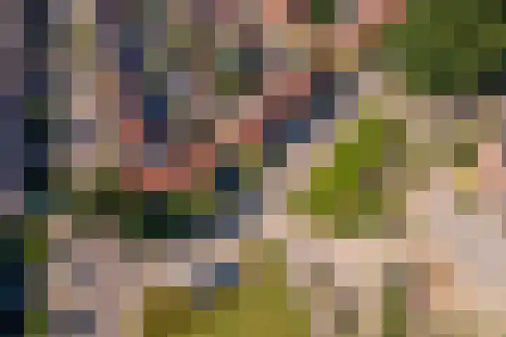 Irenestraat 18 Druten thumbnail 32