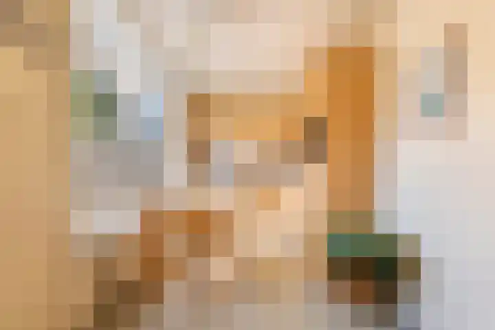 Irenestraat 18 Druten thumbnail 4