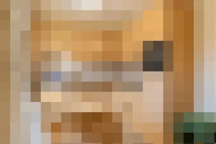 Irenestraat 18 Druten thumbnail 5