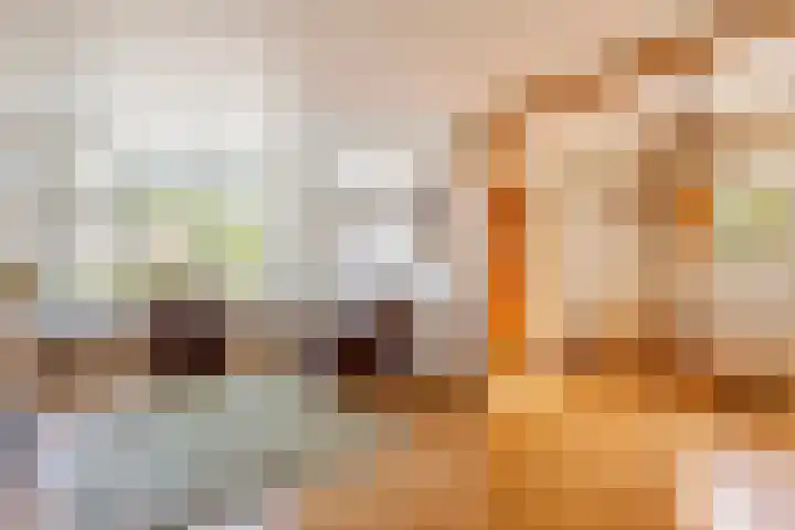 Irenestraat 18 Druten thumbnail 7