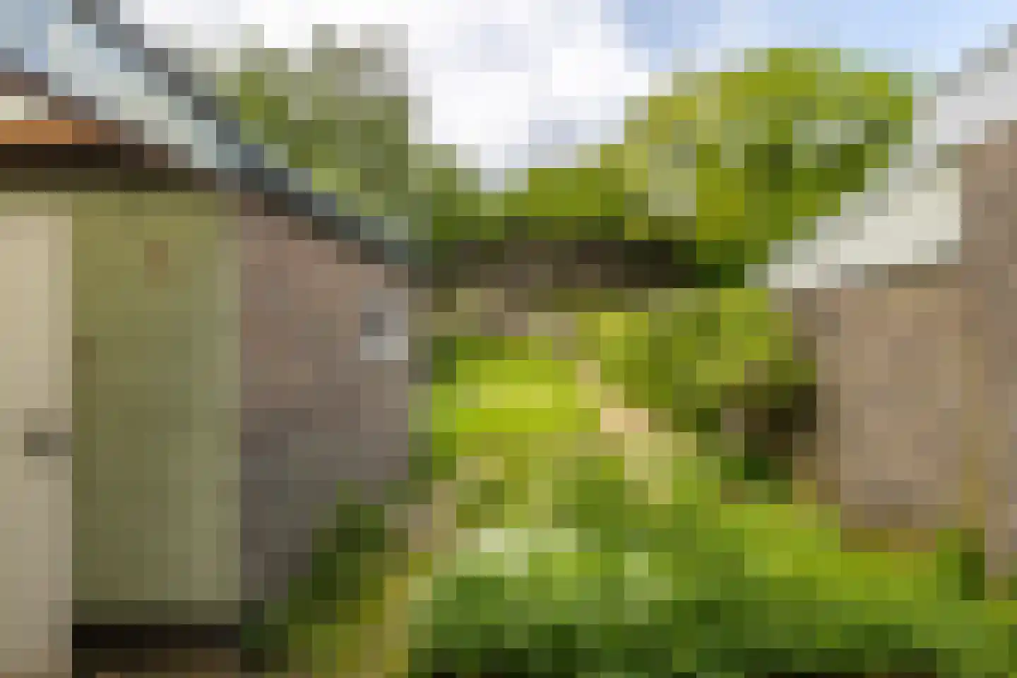 Irenestraat 18 Hulsberg thumbnail 20