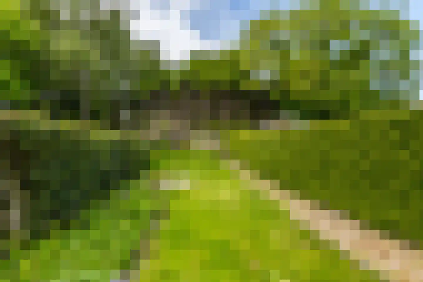 Irenestraat 18 Hulsberg thumbnail 21