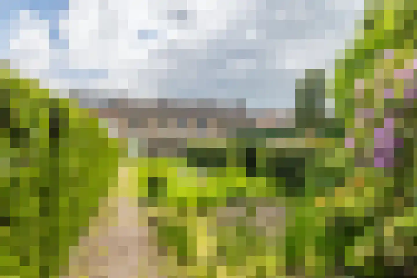 Irenestraat 18 Hulsberg thumbnail 23