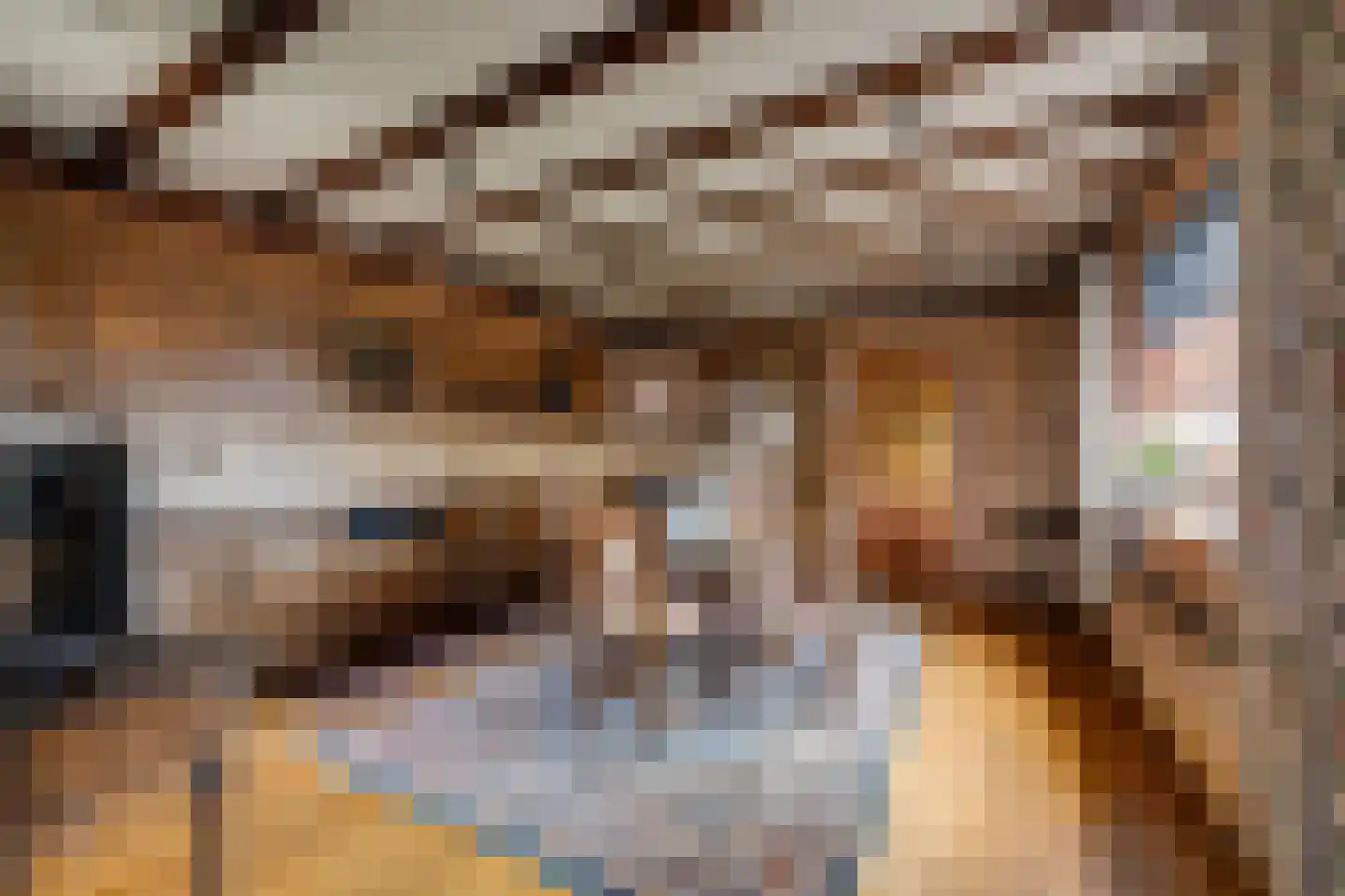 Irenestraat 18 St. Willebrord thumbnail 10