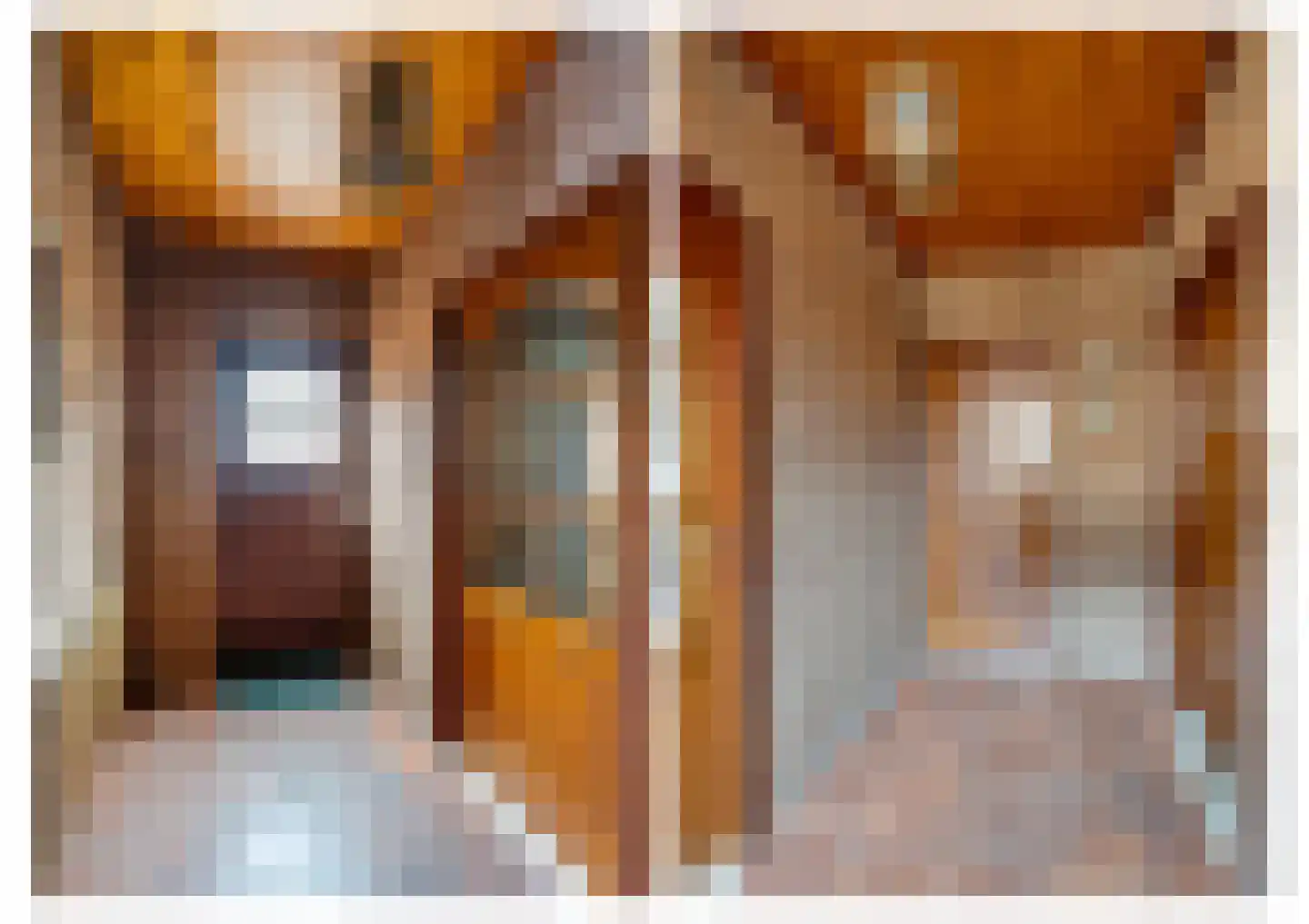 Irenestraat 18 St. Willebrord thumbnail 14