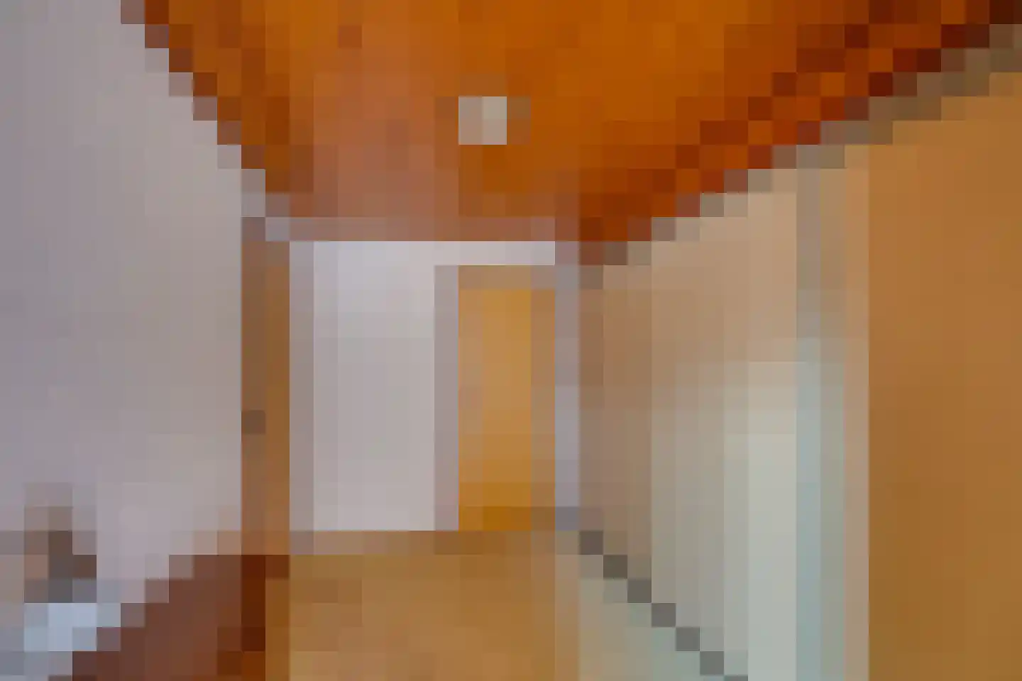 Irenestraat 18 St. Willebrord thumbnail 22
