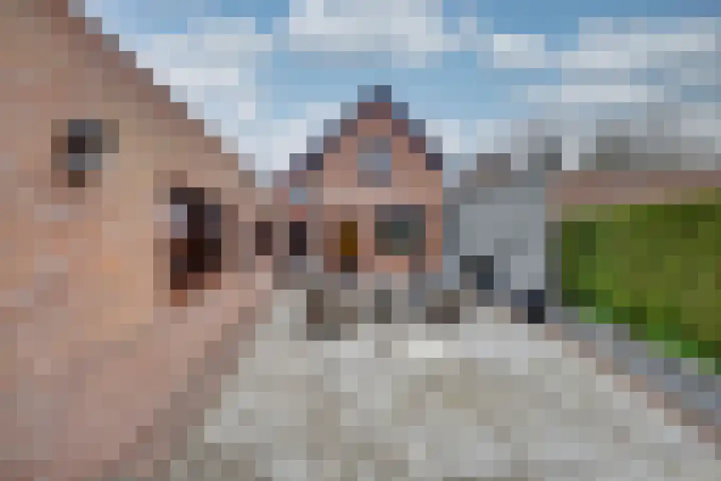 Irenestraat 18 St. Willebrord thumbnail 35