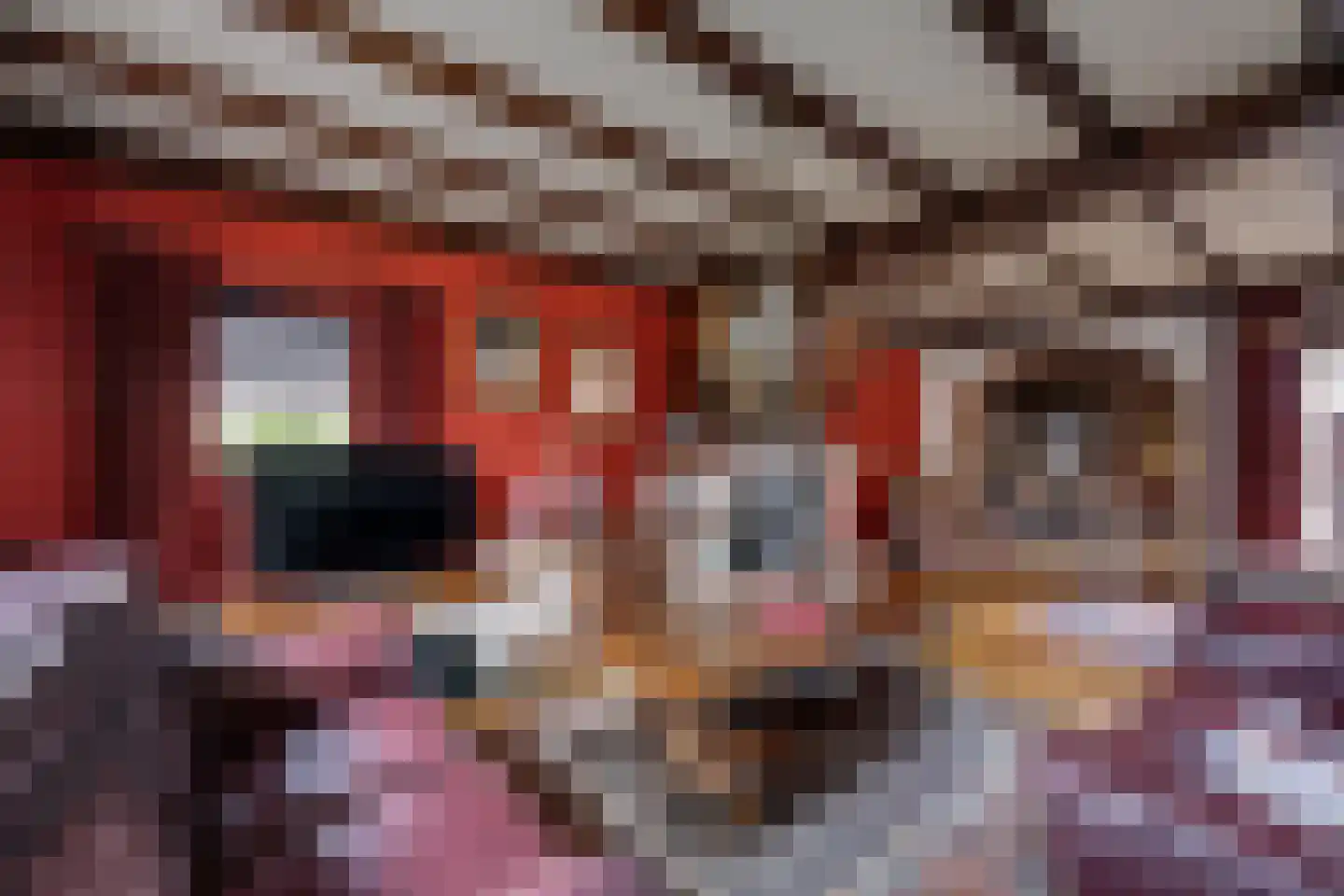 Irenestraat 18 St. Willebrord thumbnail 6