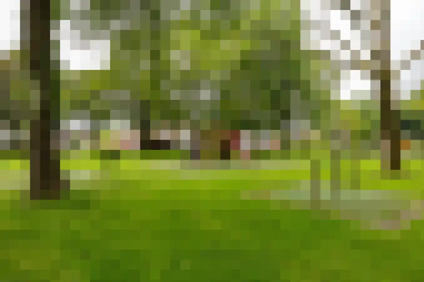 Irenestraat 19 Groningen thumbnail 34