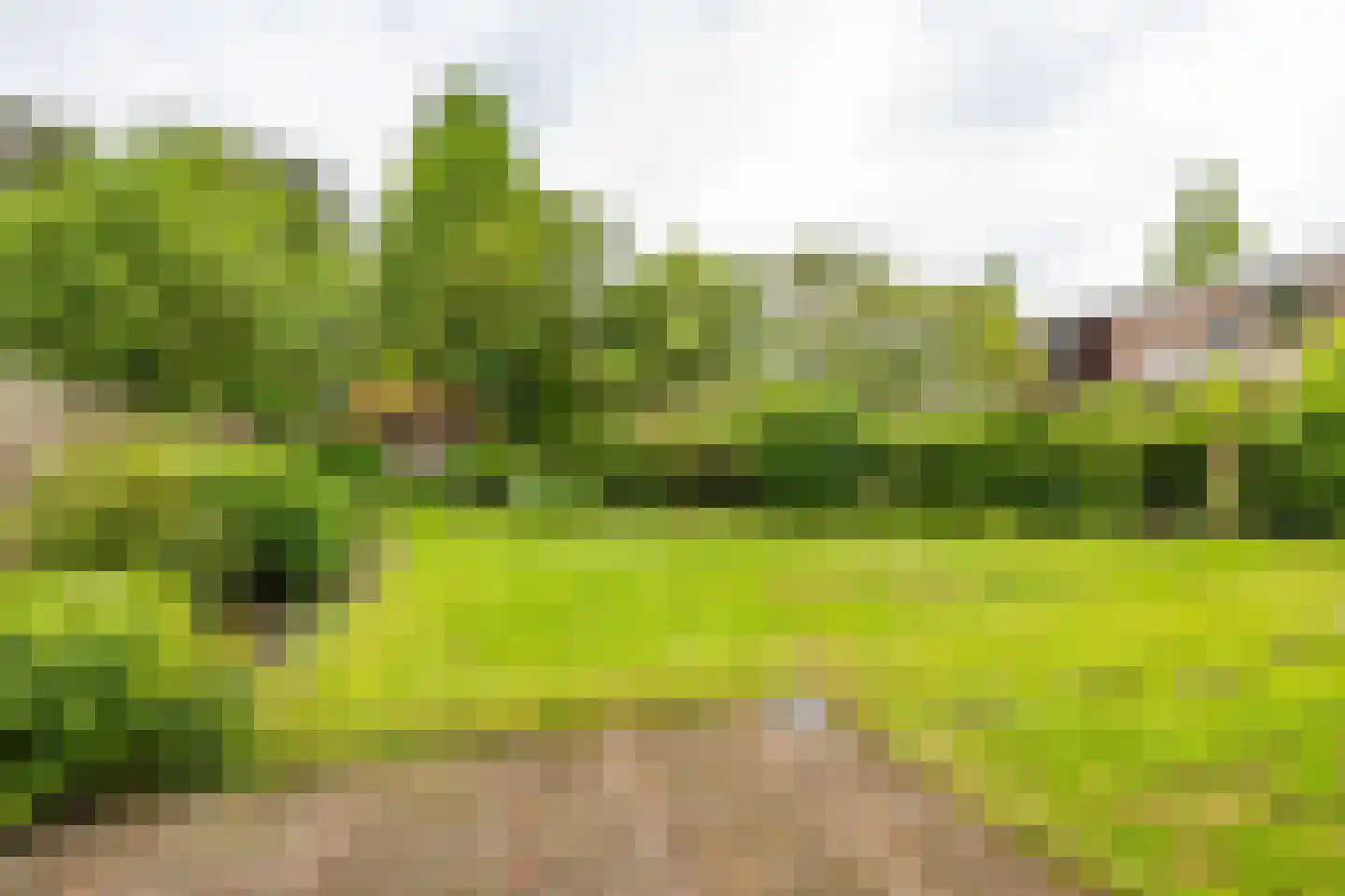 Irenestraat 19 Groningen thumbnail 4