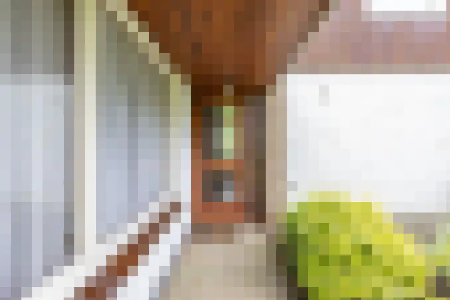 Irenestraat 19 Groningen thumbnail 6