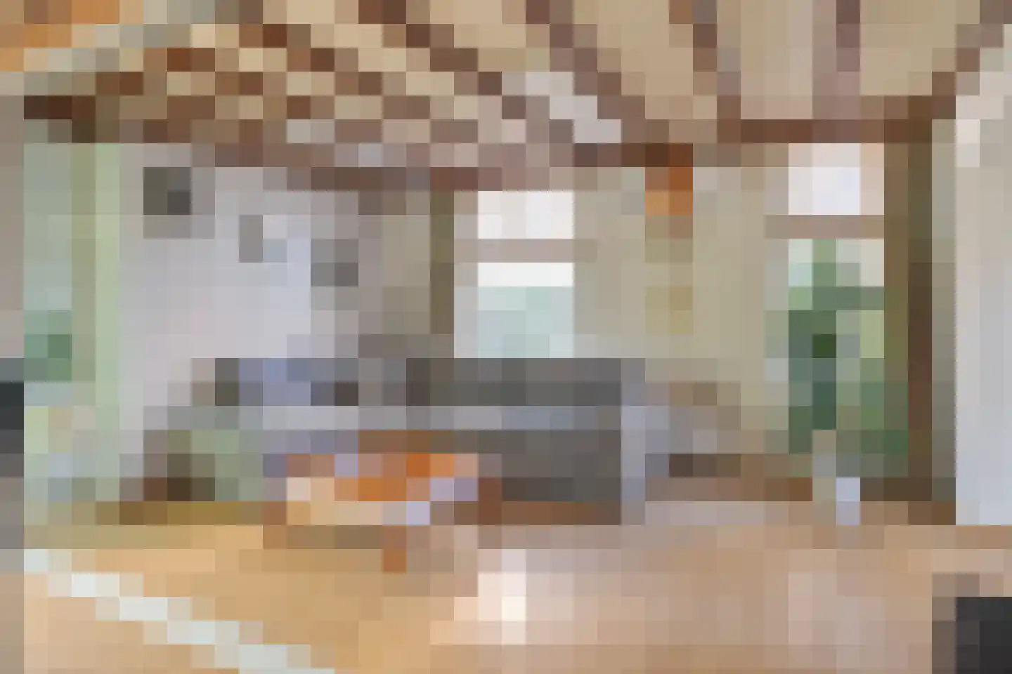 Irenestraat 19 Heeswijk-Dinther thumbnail 12